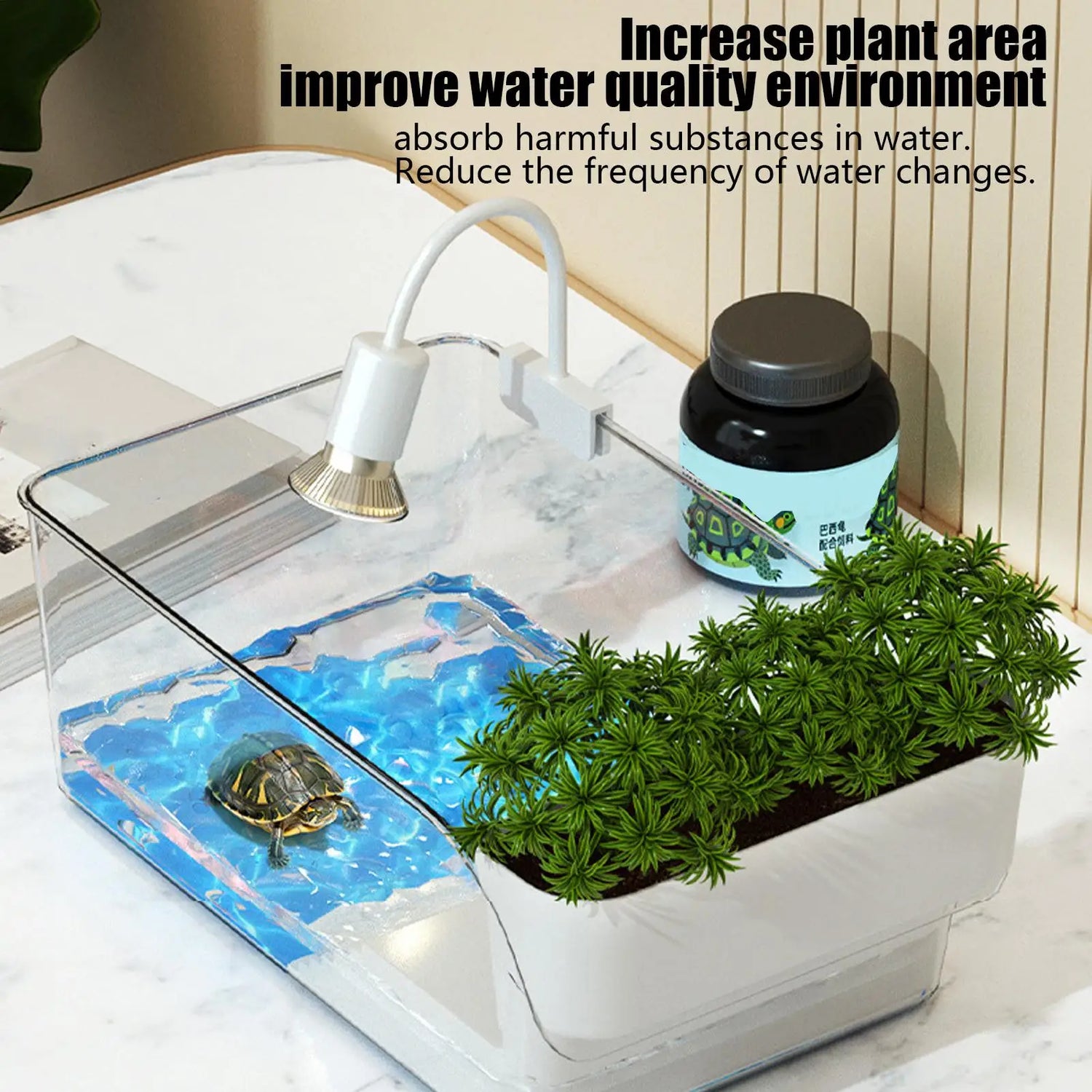 Turtle tank with basking area showcasing plants, water filter, and turtle in a clean aquatic habitat.