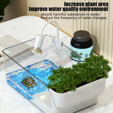 Turtle tank with basking area showcasing plants, water filter, and turtle in a clean aquatic habitat.
