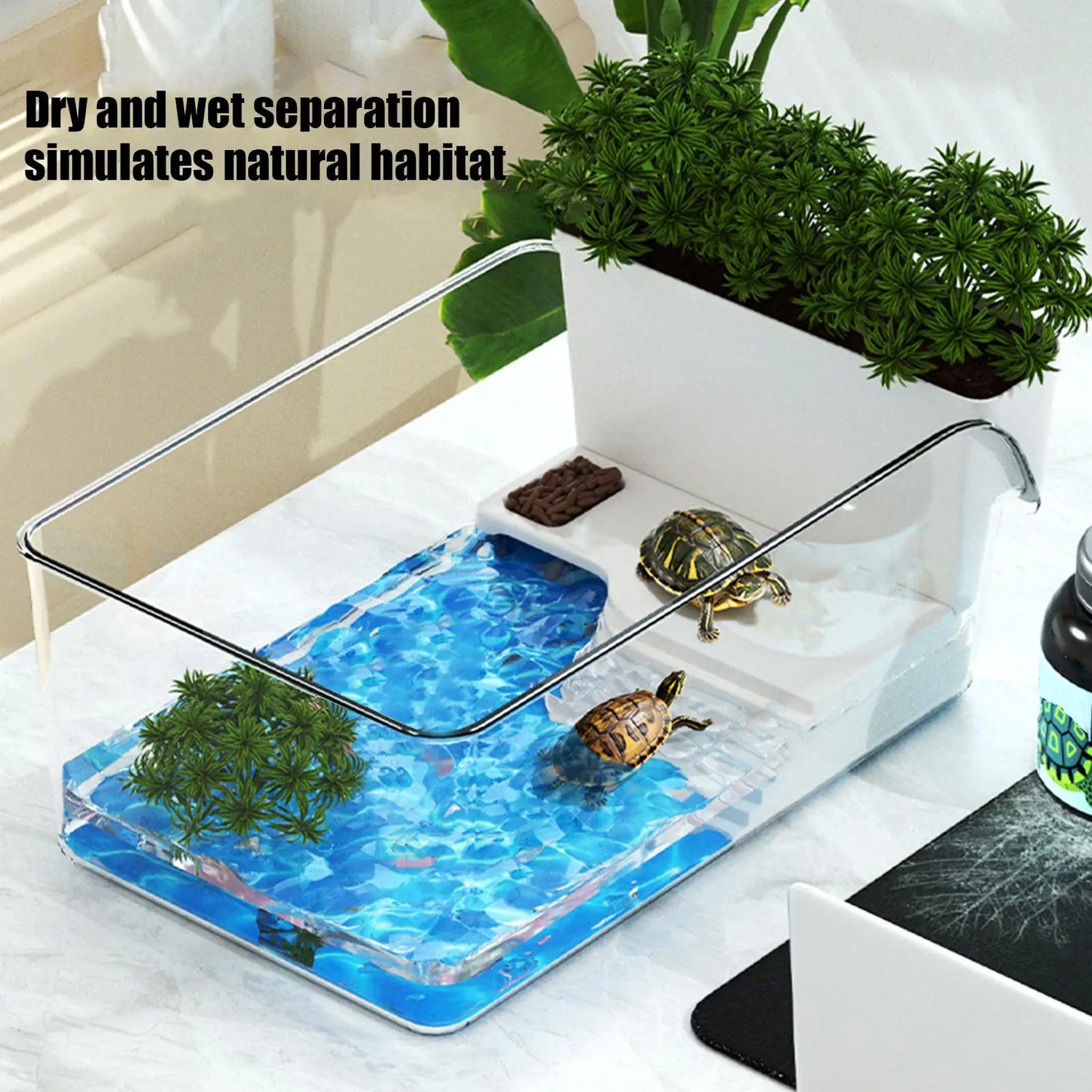 Turtle tank with basking area featuring wet and dry separation to simulate a natural habitat.